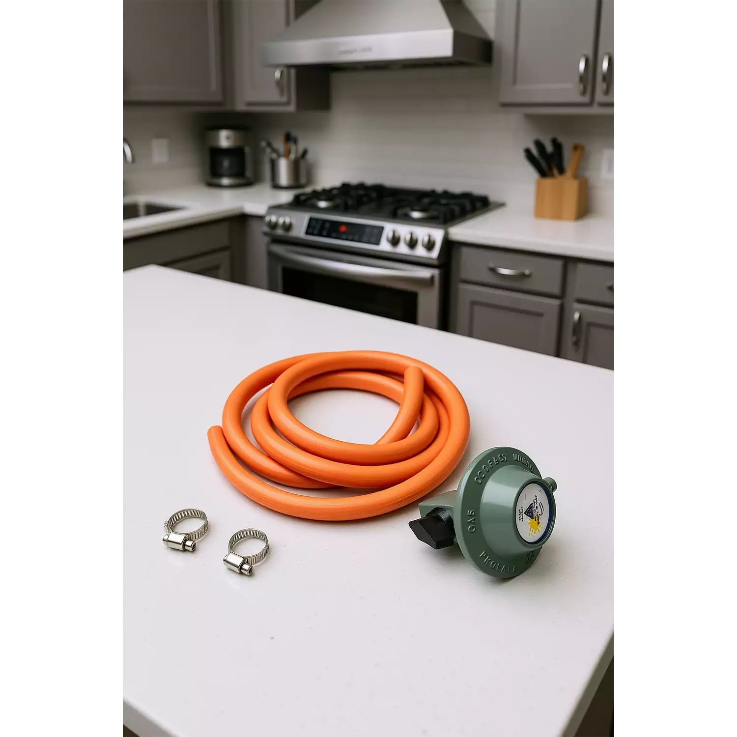 Gas Regulator Kit - Image 4